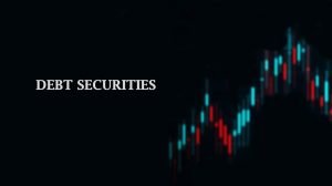 debt securities, its types and key features, and risk associated